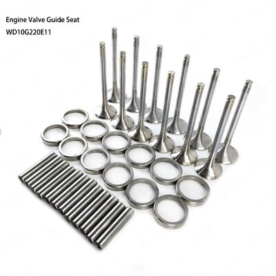 Spot Goods Engine Valve Guide Seat for WEICHAI WD10G220E11 Diesel Engine Spare Parts Construction Machinery for Excavator Repair