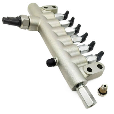 Excavator Parts Fuel Rail 8981529501 8-98152950-1 8-98152950-2 8-98152950-3 8-98152950-4 Common Rail 8981529505 8981529501