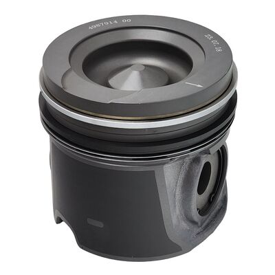 Engine Piston Assembly 2881926 for L8.9 Diesel Engine Parts