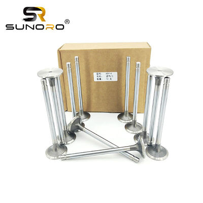 3942588 3942589 6744-41-4040 Inlet Valves for 6L ISC diesel Engine Parts komatsu Pc300-8 Intake Valve